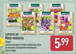 ALDI Mata nasienna oferta