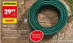 Biedronka Wąż ogrodowy 3-warstwowy oferta