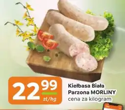 Gama Kiełbasa Biała Parzona Morliny oferta