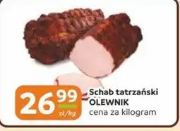Gama Schab tatrzański Olewnik oferta