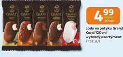 Gama Lody Grand Koral oferta