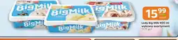 Gama Lody Big Milk oferta
