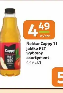 Gama Nektar Cappy jabłko PET oferta