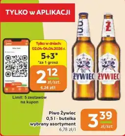 Gama Piwo Zywiec oferta