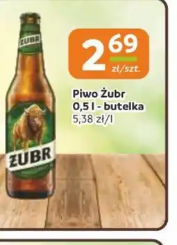 Gama Piwo Zubr oferta