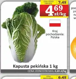 Marmax Kapusta pekińska oferta