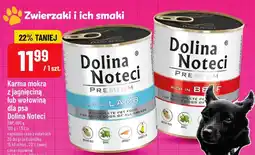 Polomarket Karma mokra z wołowiną dla psa oferta