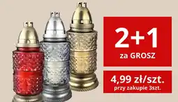 Supeco Znicz oferta