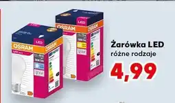 Kaufland Żarówka LED różne rodzaje oferta