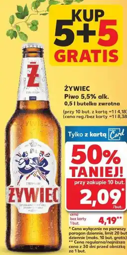 Kaufland ŻYWIEC Piwo 5,5% alk oferta