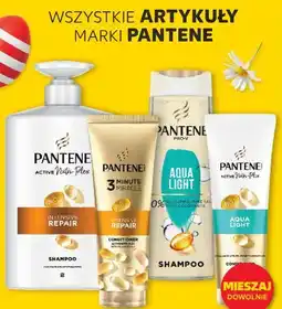 Kaufland Wszystkie artykuły marki Pantene oferta