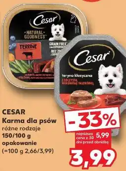 Kaufland CESAR Karma dla psów oferta