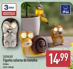 ALDI CASALUX Figurka solarna do kwiatka oferta