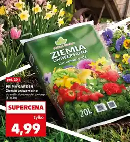Kaufland Ziemia uniwersalna do roślin domowych i zielonych oferta