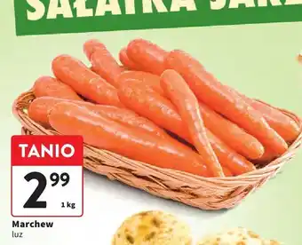Intermarche Marchew oferta