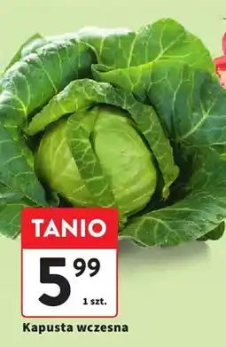 Intermarche Kapusta wczesna oferta