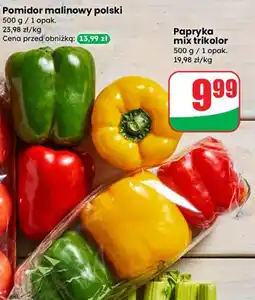 Dino Papryka mix trikolor oferta