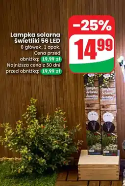 Dino Lampka solarna świetliki 56 LED 8 główek oferta