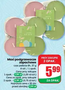Dino Maxi podgrzewacze zapachowe oferta