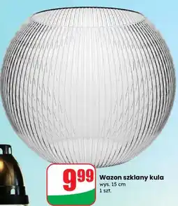 Dino Wazon szklany kula oferta