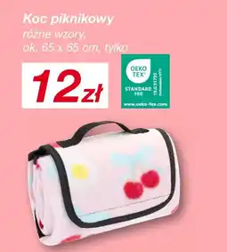 KiK Koc piknikowy oferta