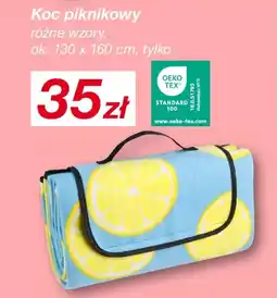 KiK Koc piknikowy oferta