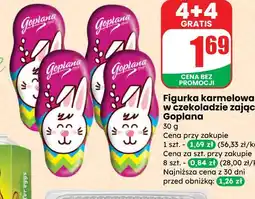Dino Figurka karmelowa w czekoladzie zając Goplana oferta
