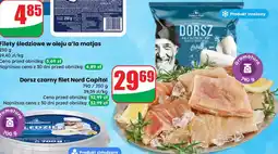 Dino Dorsz czarny filet Nord Capital oferta