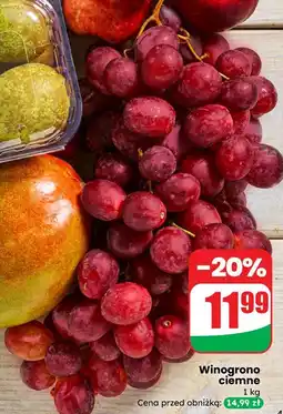 Dino Winogrono ciemne oferta