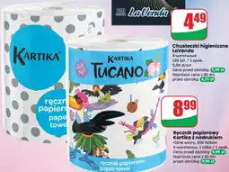 Dino Ręcznik papierowy Kartika z nadrukiem oferta