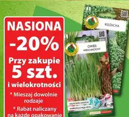 Dino Nasiona oferta