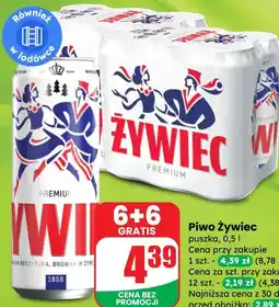 Dino Piwo Żywiec oferta