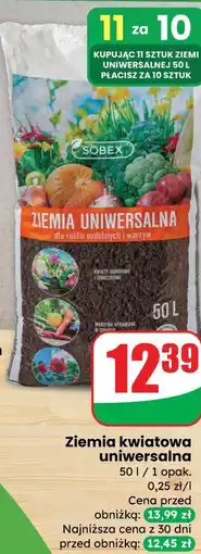 Dino Ziemia kwiatowa uniwersalna oferta