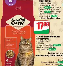 Dino Sucha karma dla kota Sweet Catty oferta