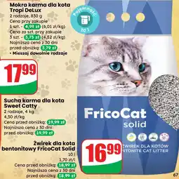 Dino Żwirek dla kota bentonitowy FricoCat Solid oferta