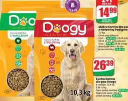 Dino Sucha karma dla psa Doogy oferta