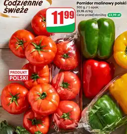 Dino Pomidor malinowy polski oferta