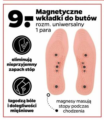 Netto Magnetyczne wkładki do butów oferta