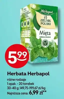 Żabka Herbata Herbapol różne rodzaje oferta