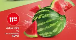 Żabka Arbuz mini oferta