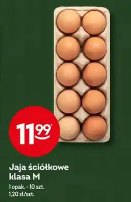 Żabka Jaja ściółkowe klasa M oferta