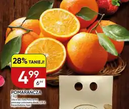 Chata Polska Pomarańcza oferta