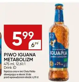 Chata Polska Piwo Iguana metabolizm oferta