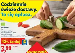 Lidl BIO Ogórek oferta