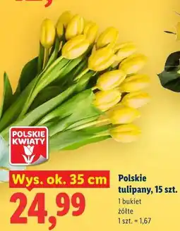 Lidl Polskie tulipany, 15 szt oferta