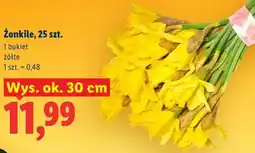 Lidl Żonkile, 25 szt oferta
