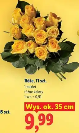 Lidl Róże, 11 szt oferta
