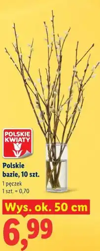 Lidl Polskie bazie, 10 szt oferta