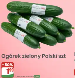 Dino Ogórek zielony Polski szt oferta