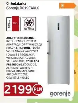 Kakto Chłodziarka Gorenje oferta